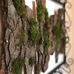 Casal Da Serrana Óbidos