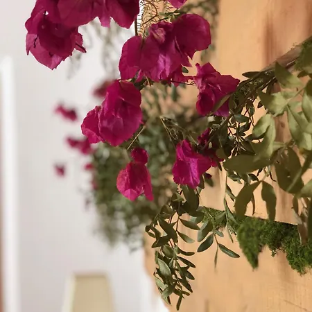 Vakantieboerderij Casal Da Serrana