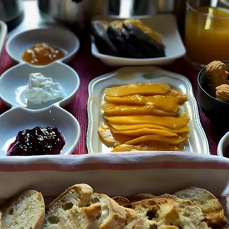 Casal Da Serrana בית חווה אובידוס